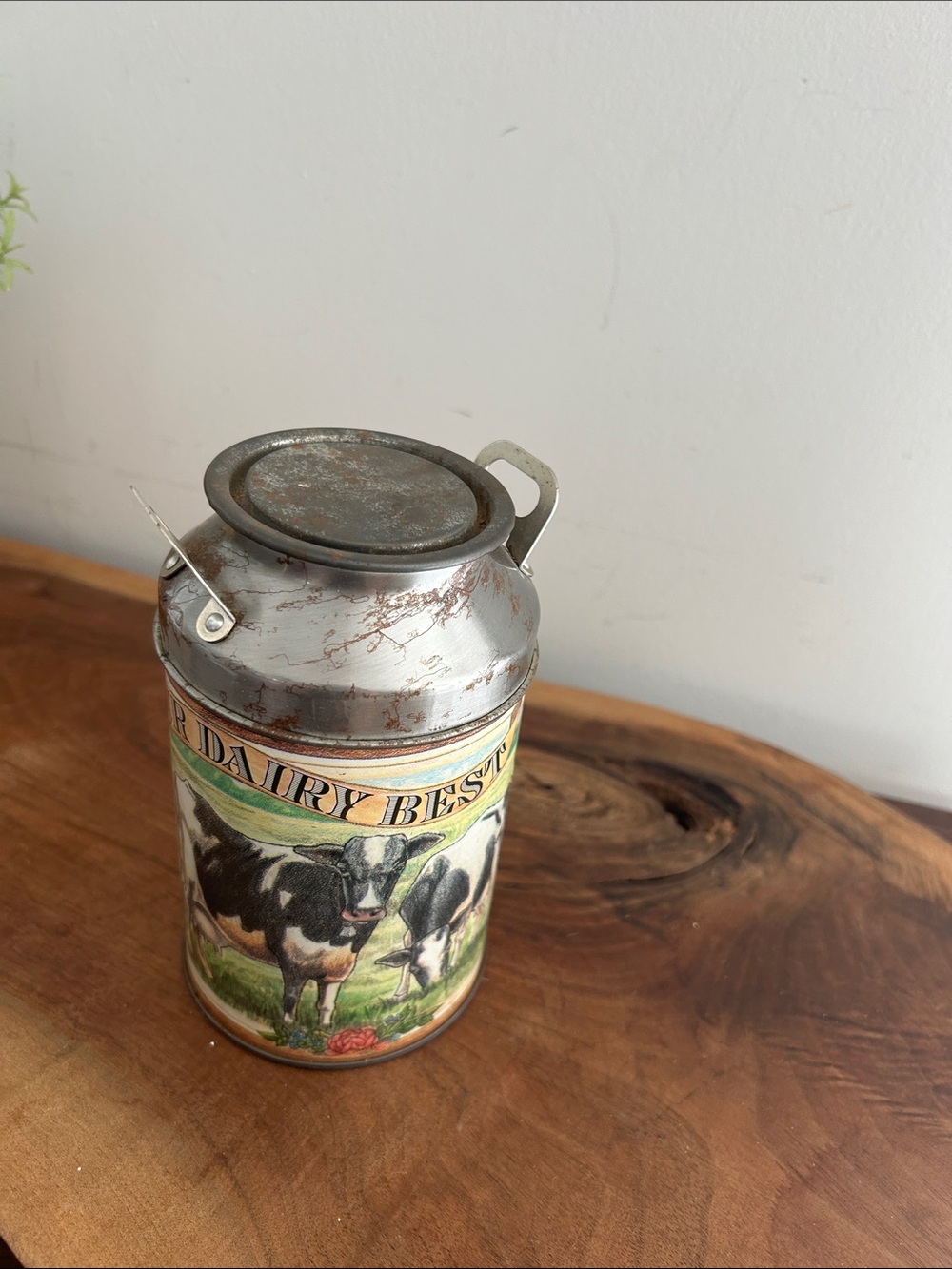 Vintage Dairy Best Decorative Milk Can Silver Cows Farmhouse